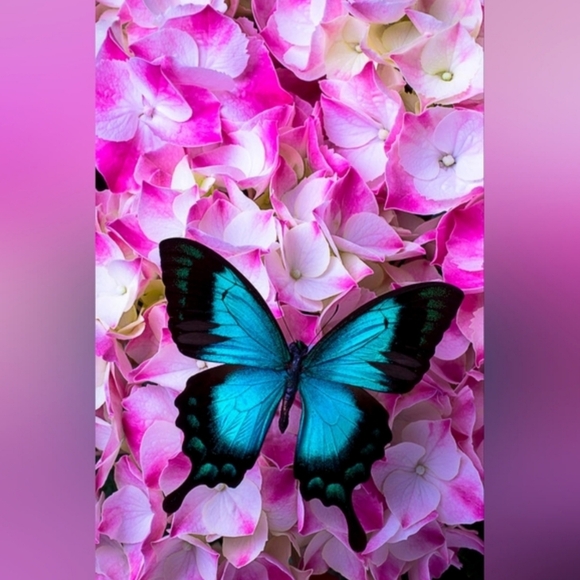 💙 VS Very Sexy Rose Lace & Grommet Crotchless Thong Panty 💙 - Picture 15 of 16